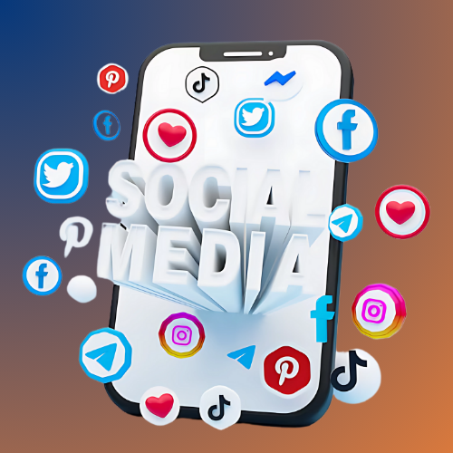Social Media Management Services In Delhi